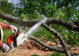 Lawn Drainage Solutions in Hudson Oaks, TX