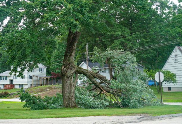 Best Arborist Consultation Services  in Hudson Oaks, TX