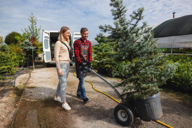 Best Commercial Tree Services  in Hudson Oaks, TX